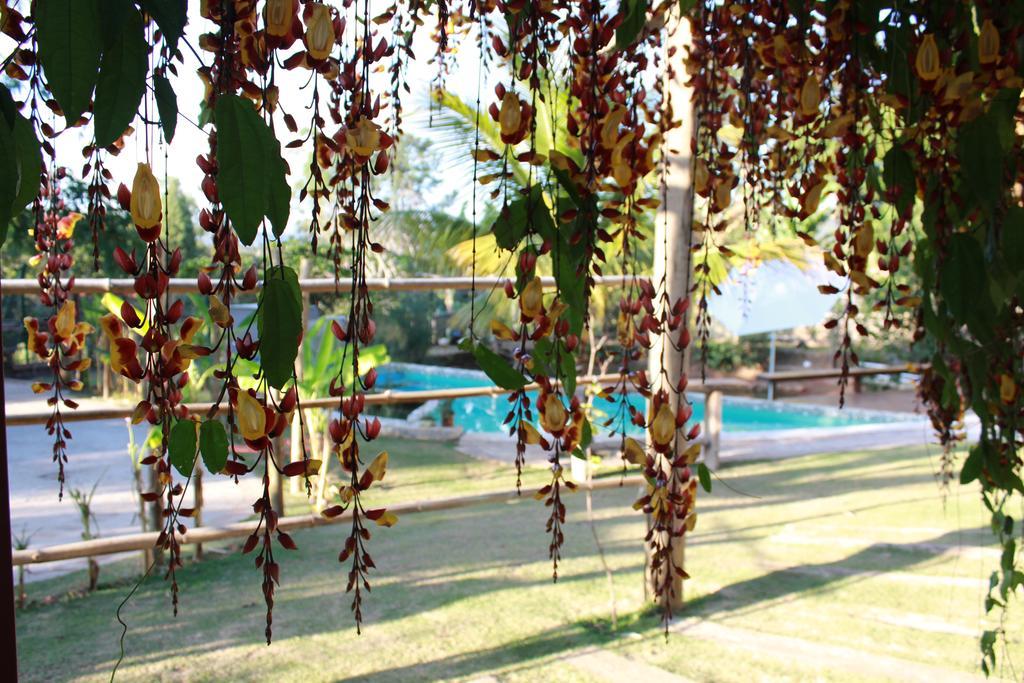 Pousada Recanto Da Estacao São João da Boa Vista Exteriér fotografie